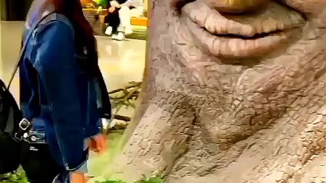 Such a beautiful art. When I touched the tree, the tree surprised everyone present there..😮😮