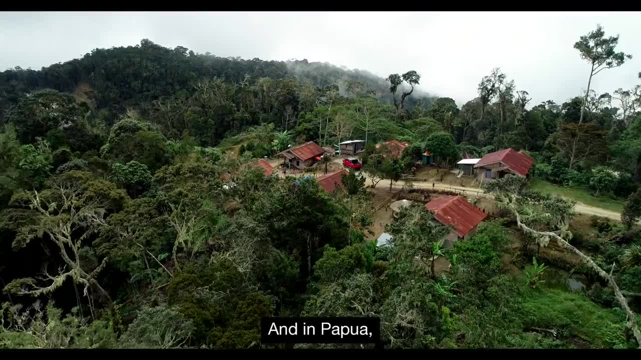 Tanah Papua: A Paradise for Birds