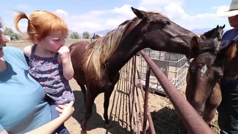 Adley RIDES SPIRIT the Horse!