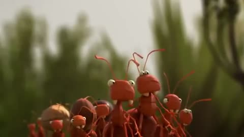 A lesson from ANTZ.