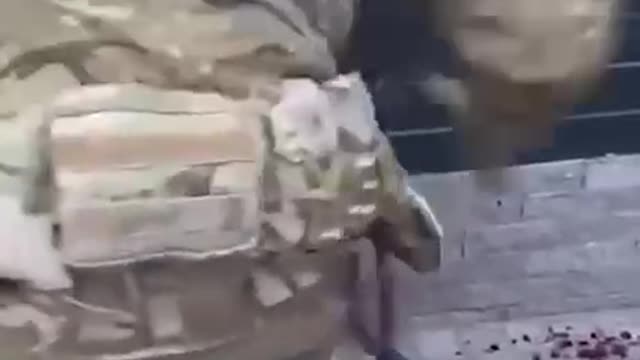 Ukranian Nazis beating up civilians