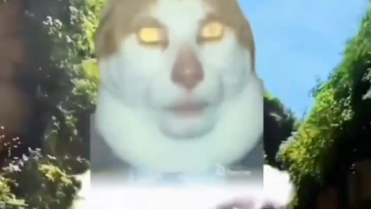 Tiktok moment 💀💀
