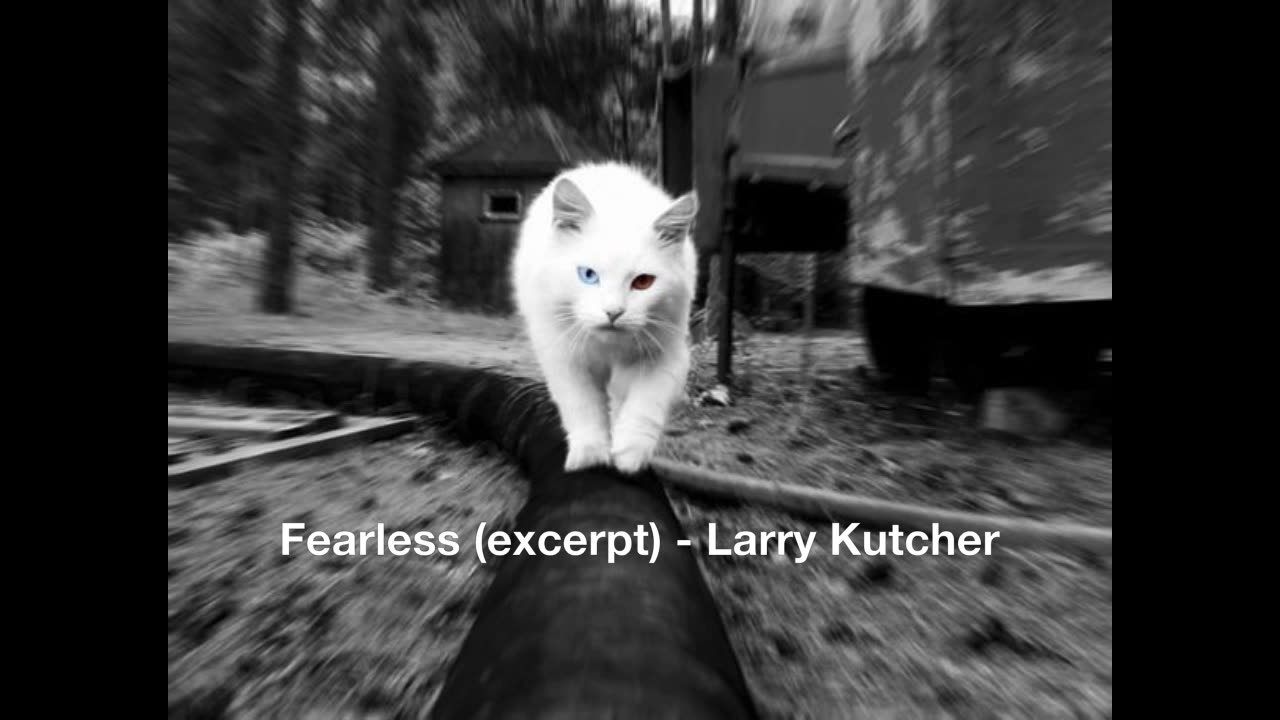 Fearless (excerpt) - Larry Kutcher