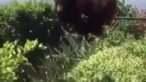 Funniest memes of 2023 -Funny & weird funny video 🤣🥲😃😁😆