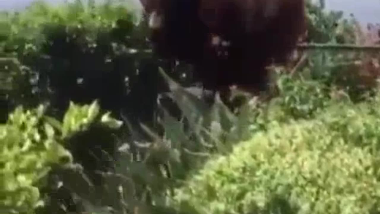 Funniest memes of 2023 -Funny & weird funny video 🤣🥲😃😁😆