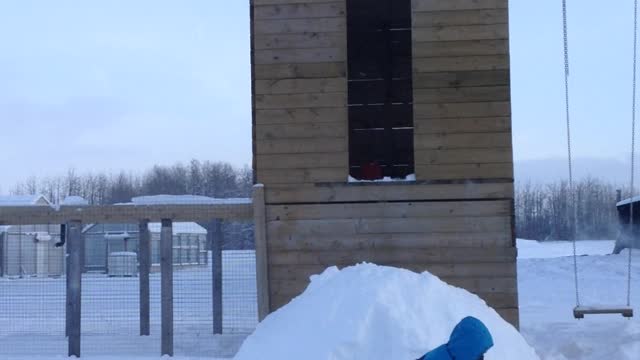 Jumping from 20ft, qnd missing the target