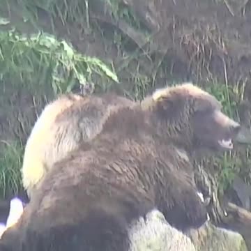 It’s Friday - let’s grub!