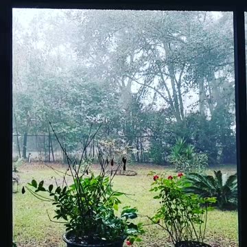 FLORIDA THUNDERSTORM