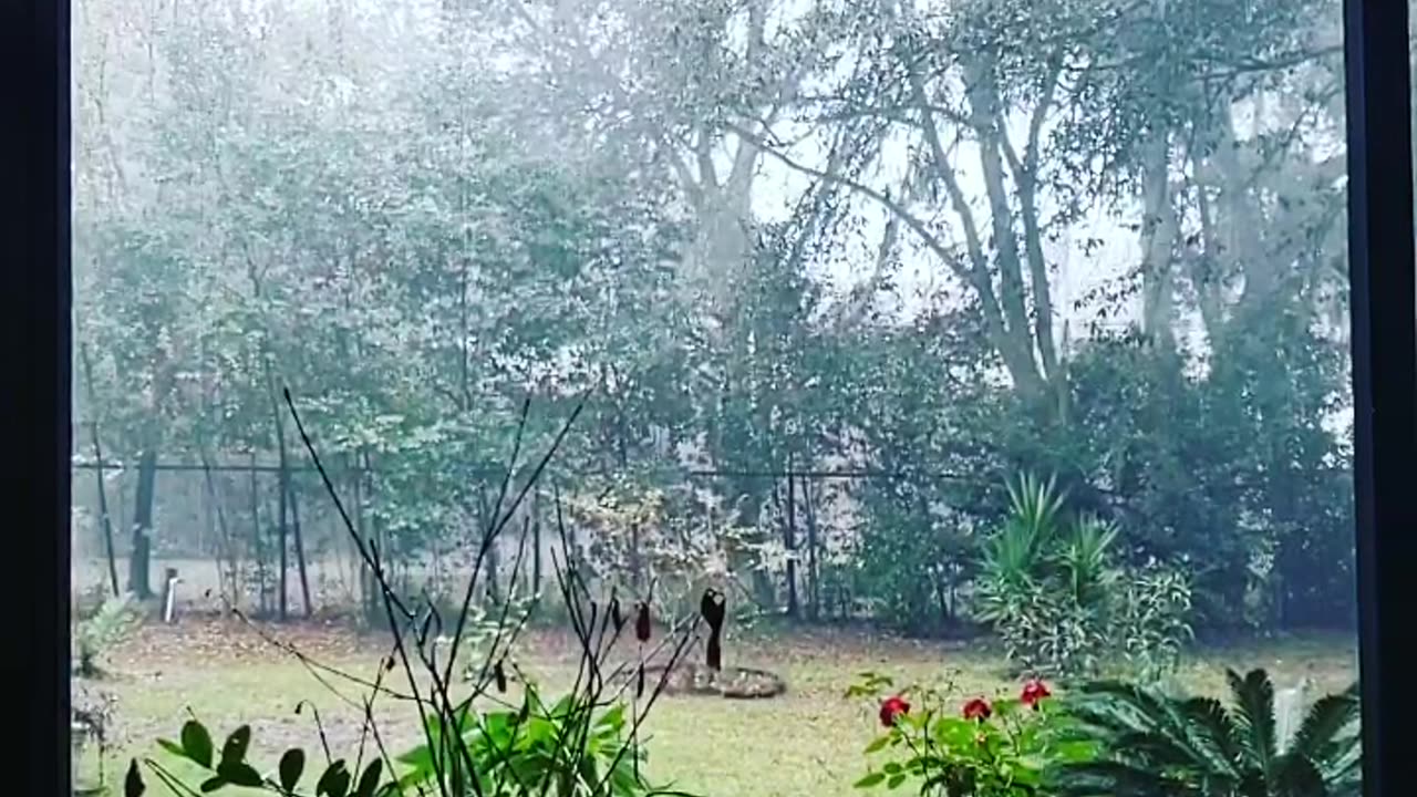 FLORIDA THUNDERSTORM
