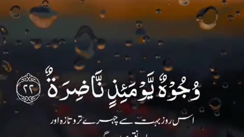 سورہ القیامیہ