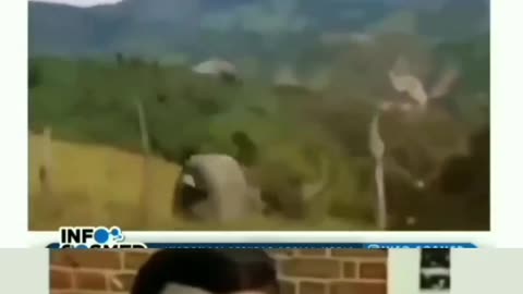 New funny video short