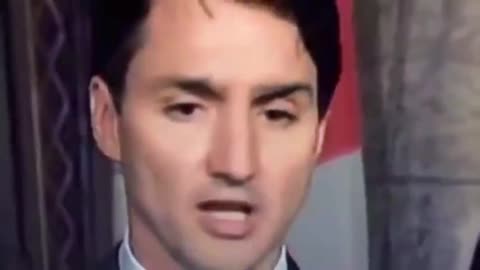 Justin Trudeau fake eyebrow fell off at the G7