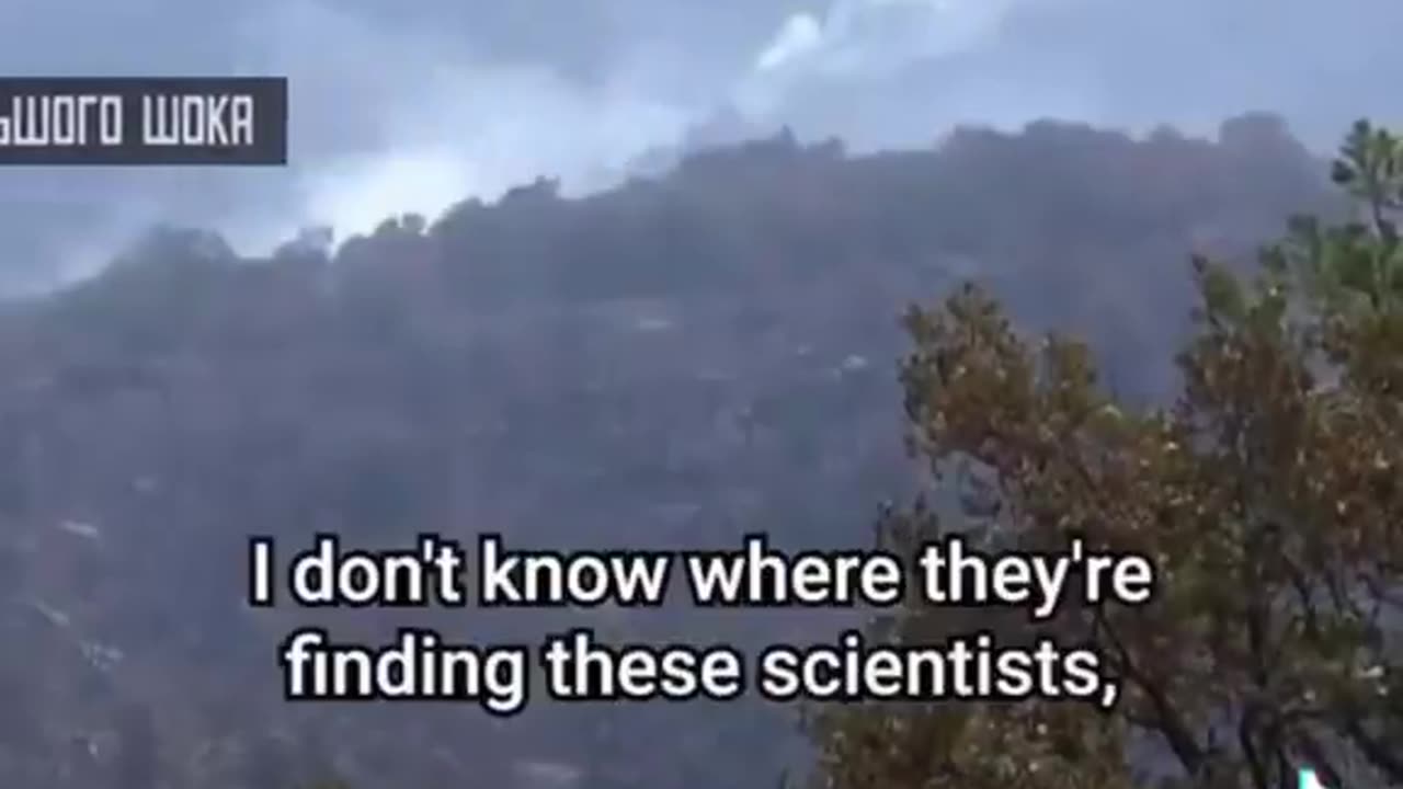 Chopping and Burying down Trees to reduce CO2?