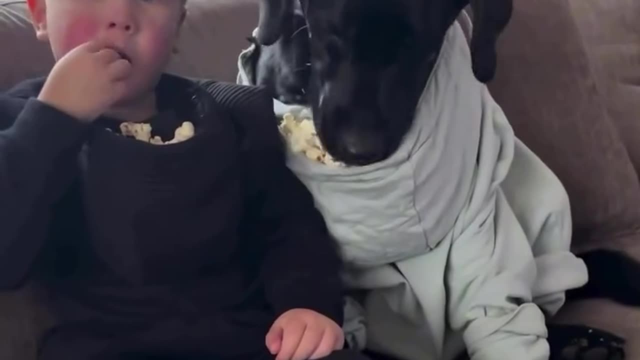 Popcorn Buddy!