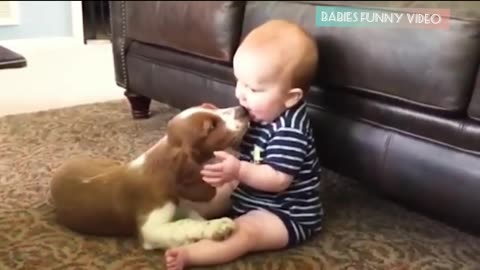 Babies funny video