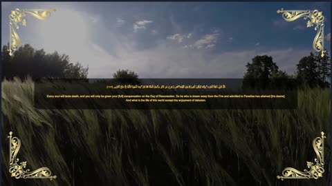 Islam Quranic verses