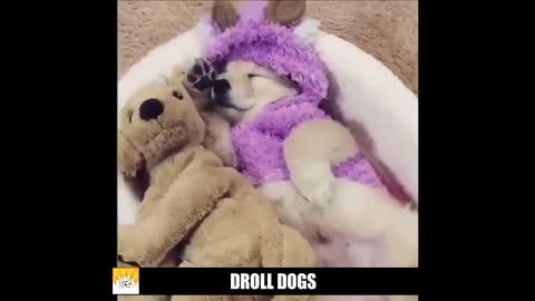 la hora de dormir