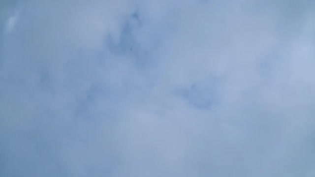 10 Signs You Suck at Pigeon