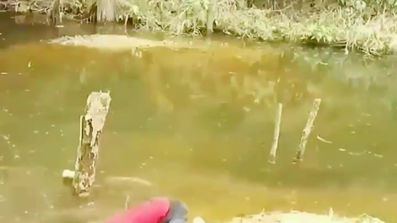 Funny Fishing Compilation