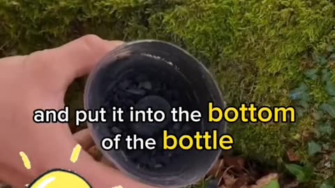 How to make a cattail water purifier