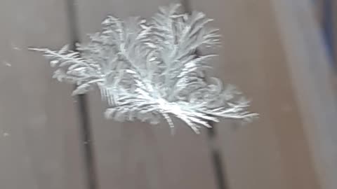 Snowflake today