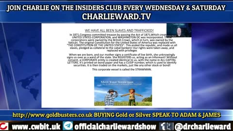 QSI WEEKLY PANEL CALL WITH CHARLIE WARD - THE STRAWMAN & CORPORATIONS