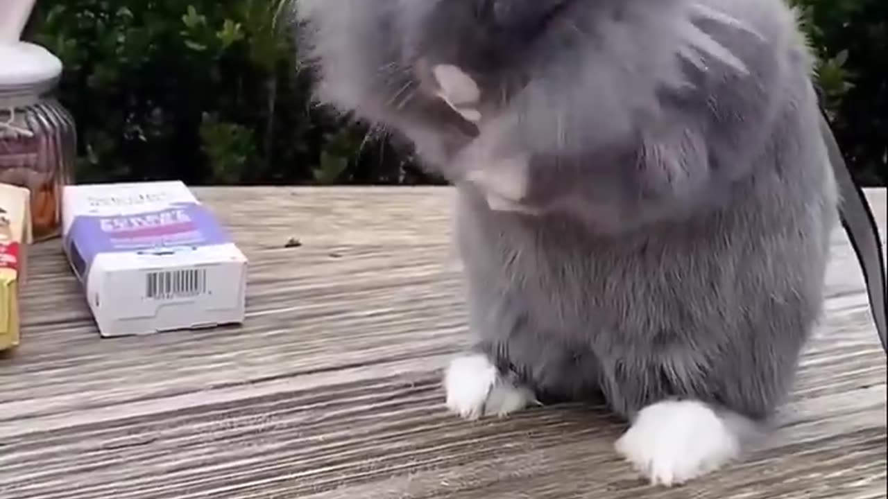 🔥 Respect Shorts Video 🔥