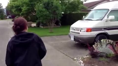 Funny Cat Compilations 2024