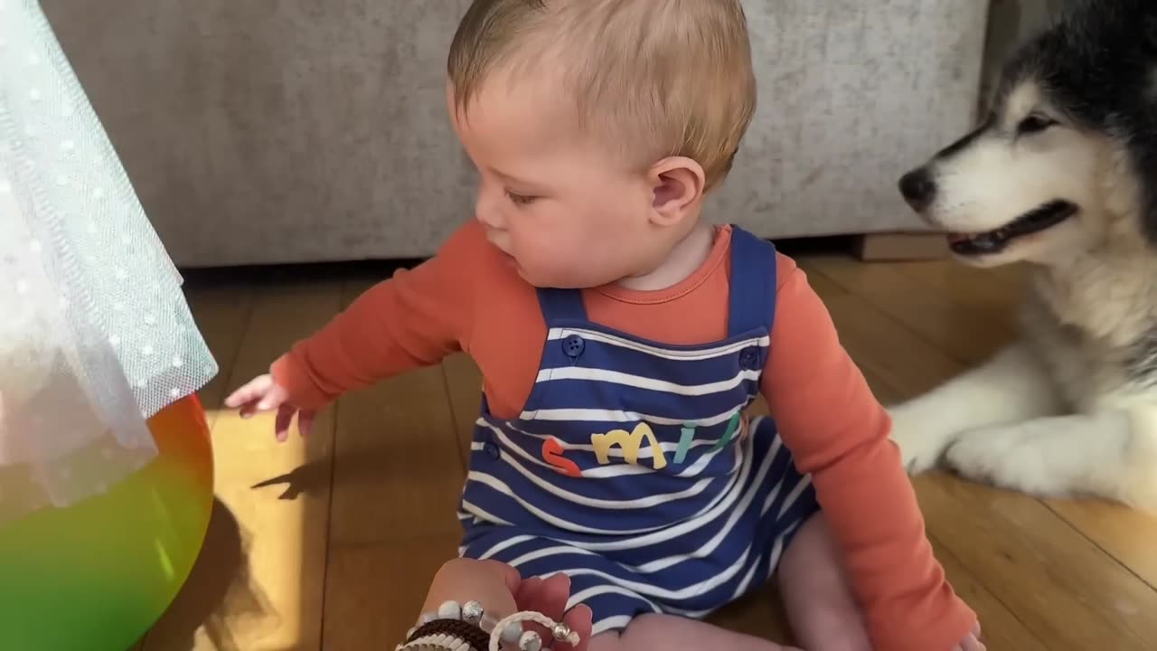 Cute baby playing with dog