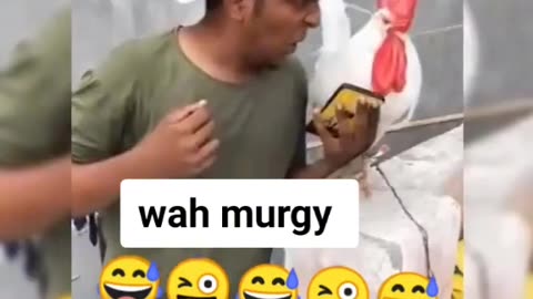 Murga