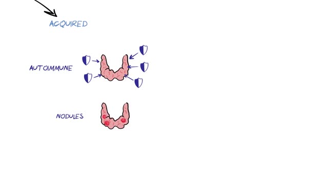 What is the Thyroid Gland and Thyroid Disease?