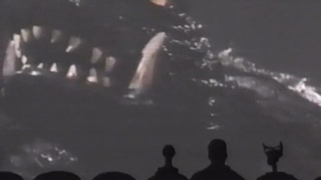 MST3K - 0308 - Gamera vs. Gaos