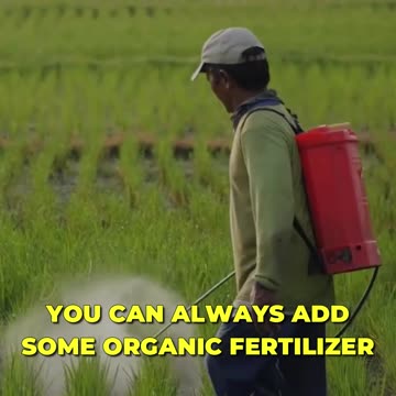 🌱 🔐 Unlocking Backyard Garden Success! 🌿 🏡