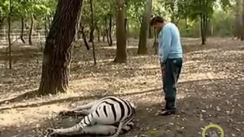 RTL Klub 2009 - Győzike Show (részlet)