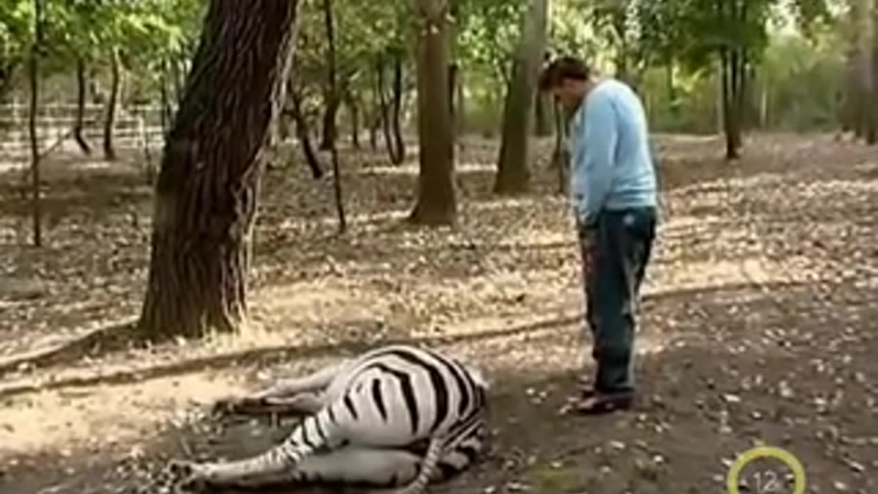 RTL Klub 2009 - Győzike Show (részlet)