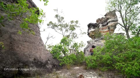 Adventure In The Forest! Caveman Catch Wild Snake in Rock Hole | Cooking and Eating Delicious