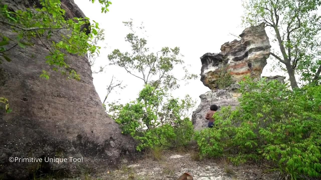 Adventure In The Forest! Caveman Catch Wild Snake in Rock Hole | Cooking and Eating Delicious