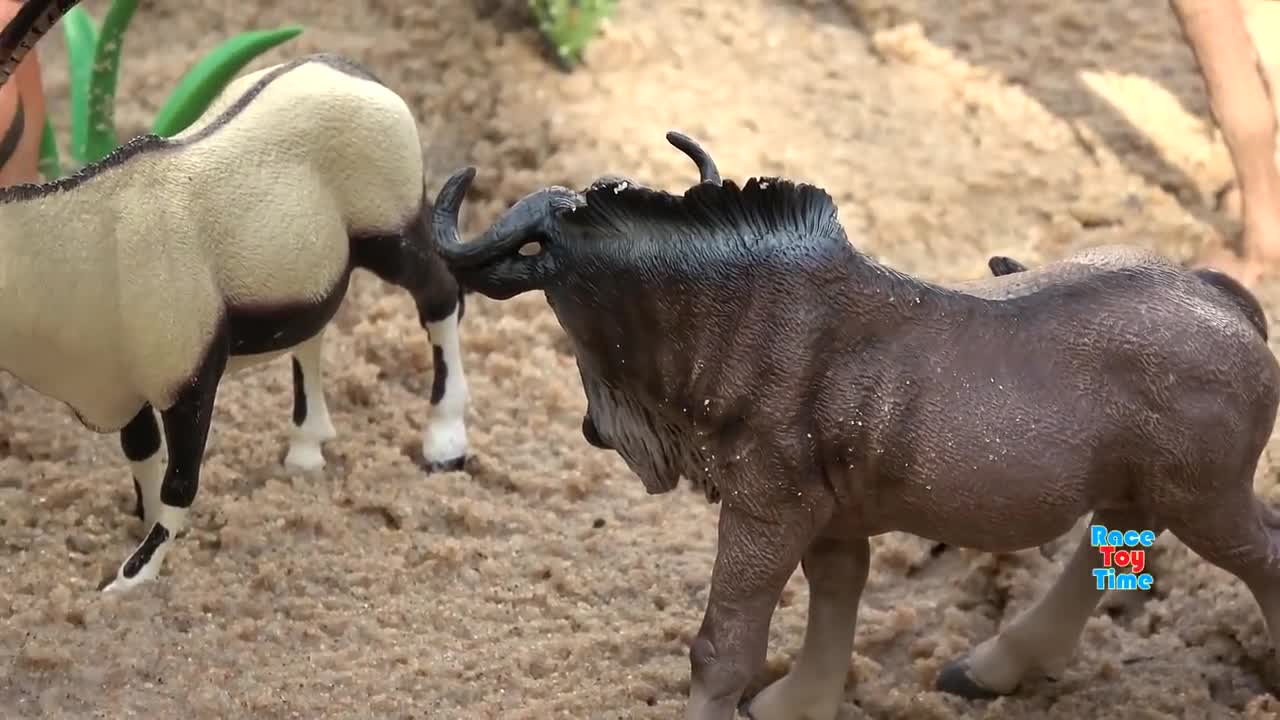 Lots of Wild Animal Toys Collection - Fun Toys For Kids