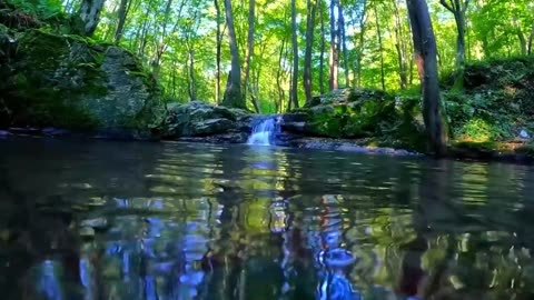 Camping, 3 days of solo survival, fishing and cooking