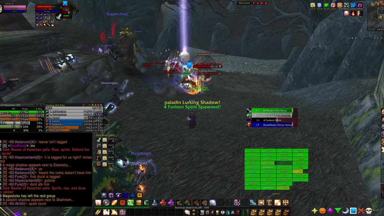 Turtle wow - PUG Dark Reaver - world boss - Paladin POV - 19 October