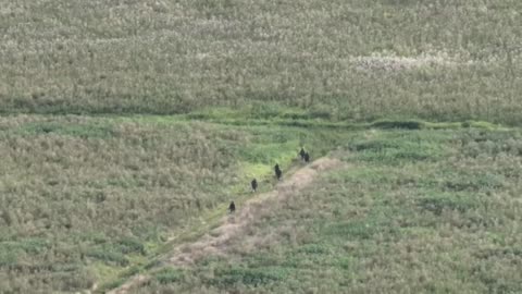 A Russian mortar crew hits a group of military personnel in the Kupyansk direction