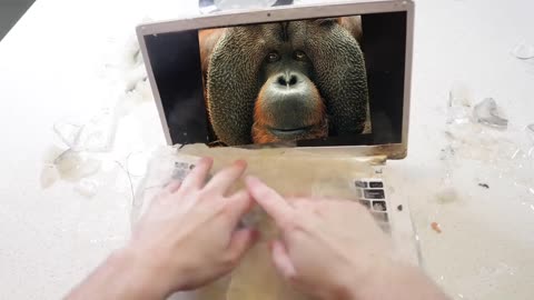 How To Remove a Computer Virus