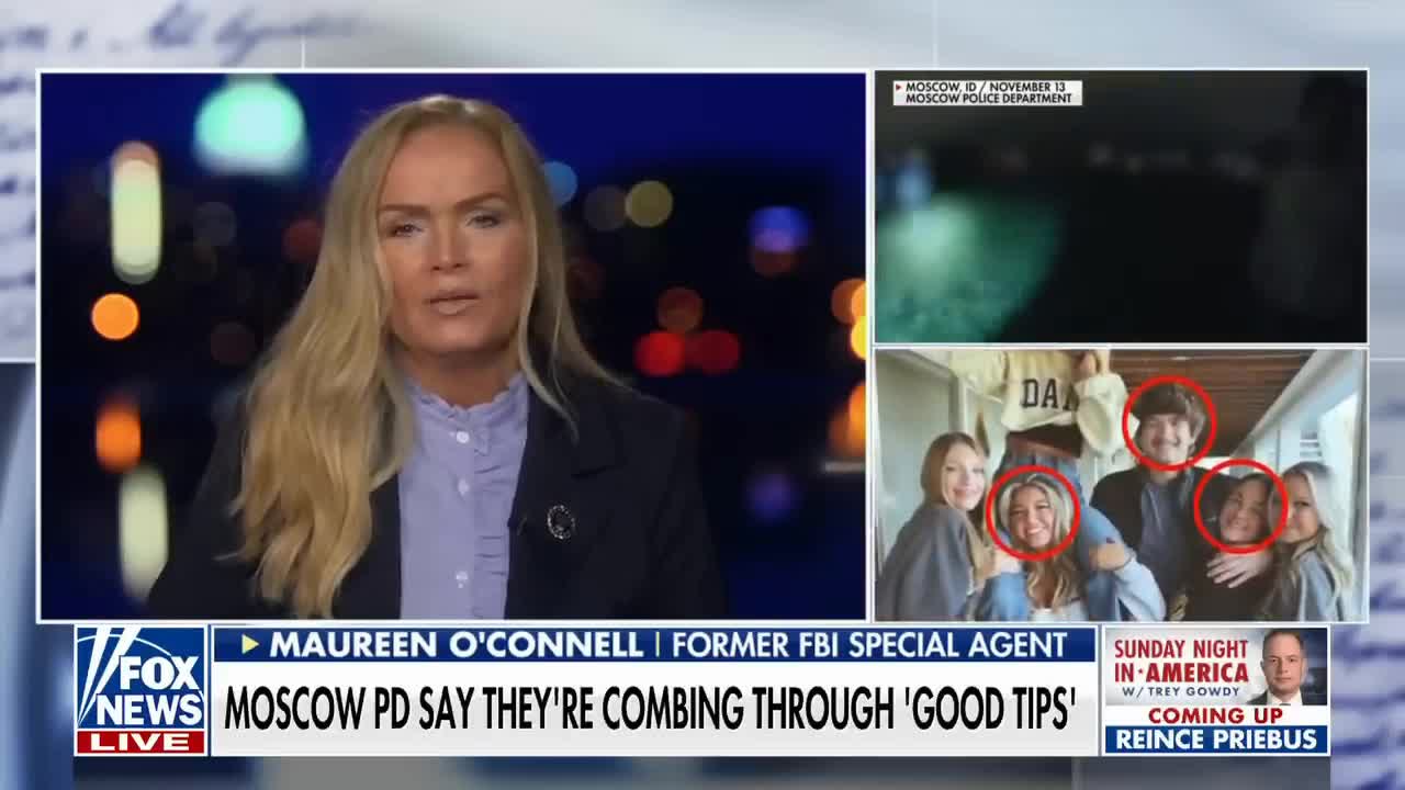 Former FBI special agent breaks down the chances of Idaho murder case going cold2