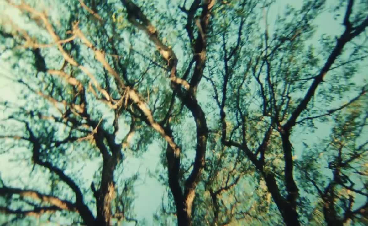$NOT - "Life" [Official Video]