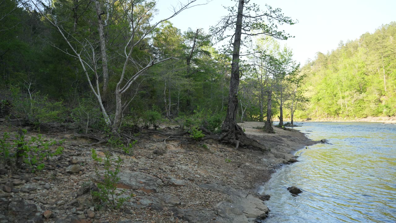 Short walk by the Cahaba River, Alabama.