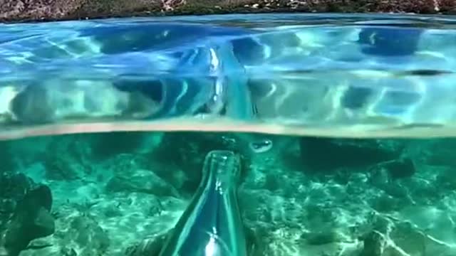 #underwater #blue #sky #underwaterview #foryou #tiktok #beauty #scenery