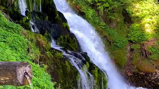 Beauty Nature 🌿 📍JAUN🇨🇭