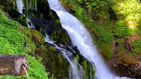 Beauty Nature 🌿 📍JAUN🇨🇭