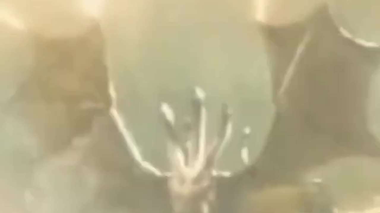 Where is the danger