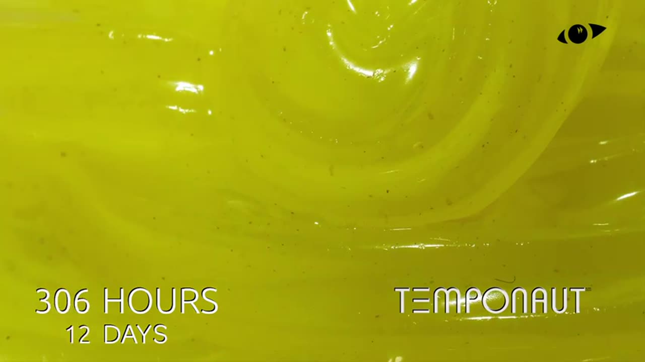 Mayonnaise Timelapse